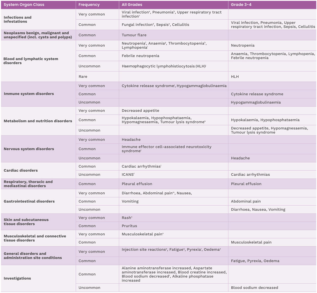 safety profile table